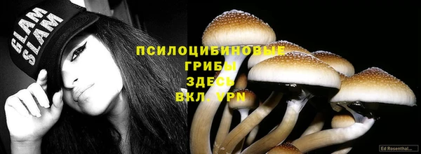 мдпв Магадан
